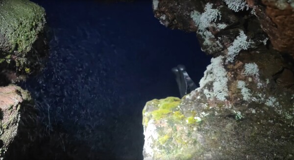 Cave in the crater of Pico