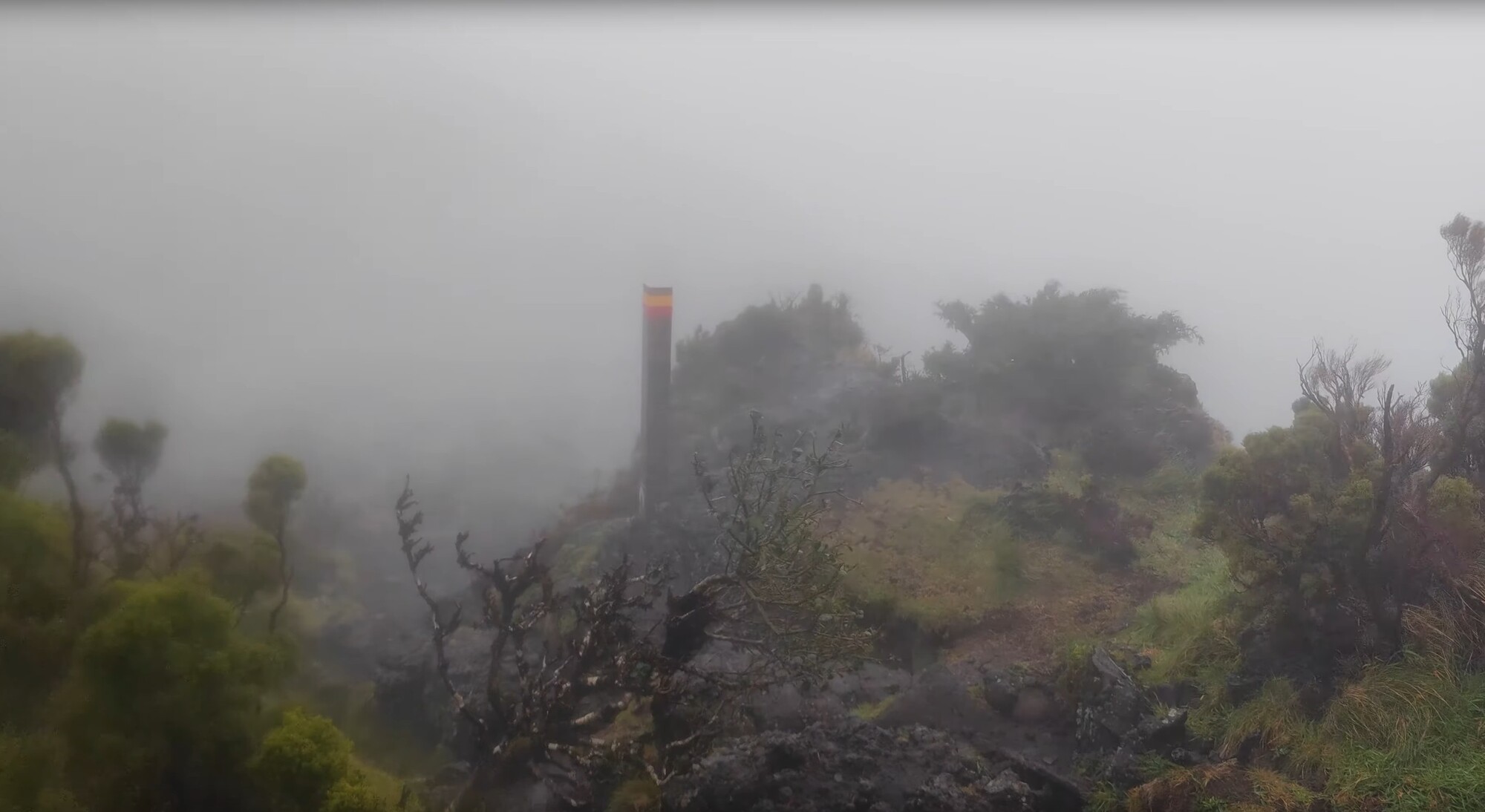 Near the Visitor Center